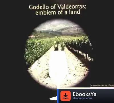 Descargar Godello De Valdeorras, Emblema De Una Tierra de Lola Pons Rodríguez
