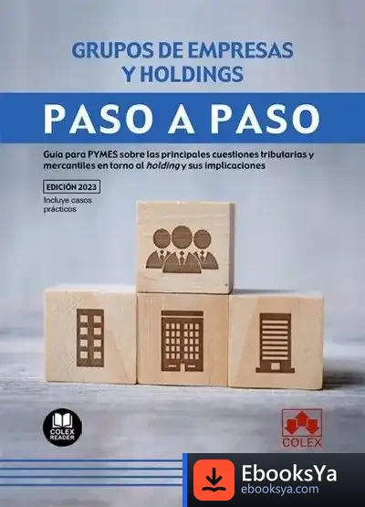Descargar Grupos De Empresas Y Holdings. Paso A Paso