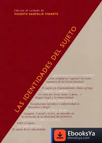 Descargar Las Identidades Del Sujeto de Julio Montero Díaz