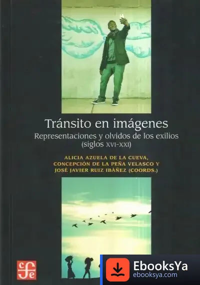 Descargar Tránsito En Imágenes. Representaciones Y Olvidos de John Irving