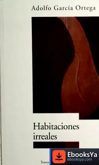Descargar Habitaciones Irreales de Francesc Zamora Mola