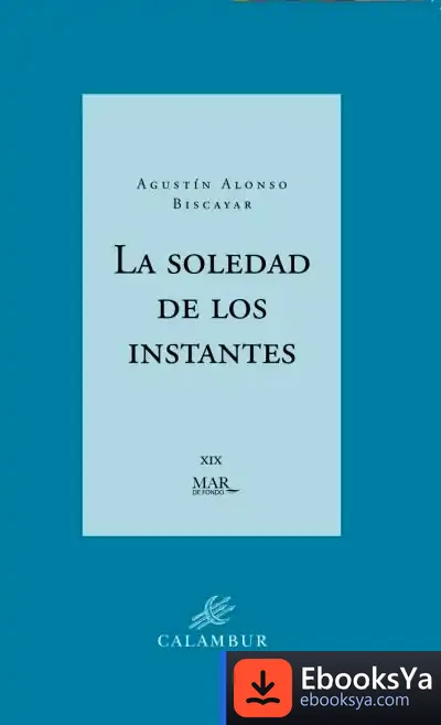 Descargar La Soledad De Los Instantes de Agustín Alonso Biscayar