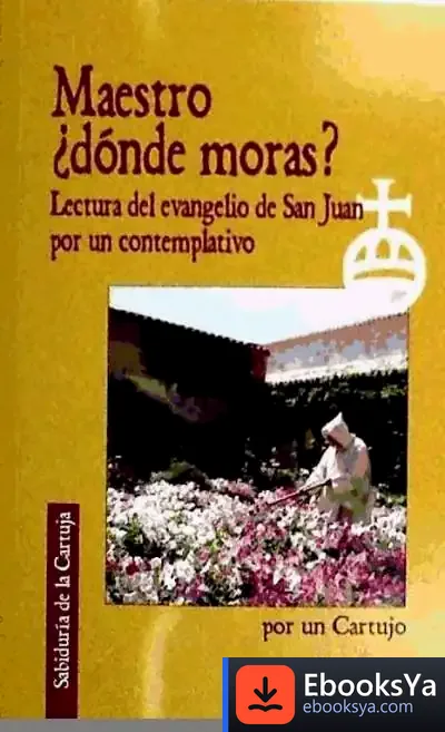Descargar Maestro, ¿Dónde Moras? de Agustín