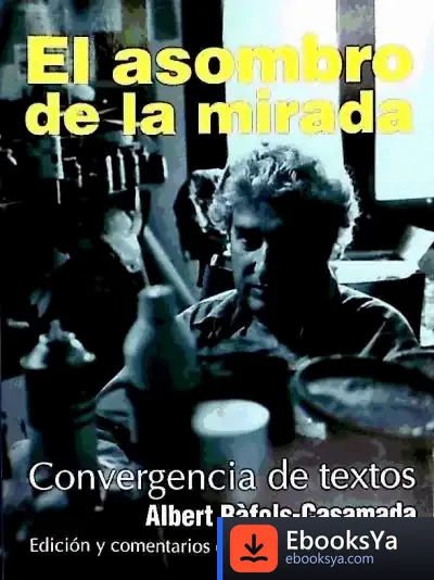 Descargar Asombro De La Mirada, El de Bernat Crosas I Navarro