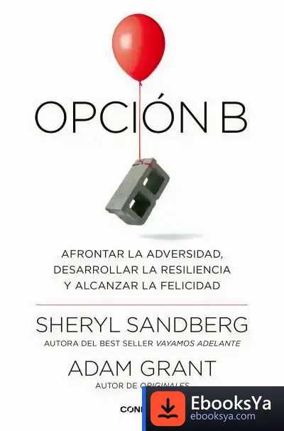 Descargar Opción B