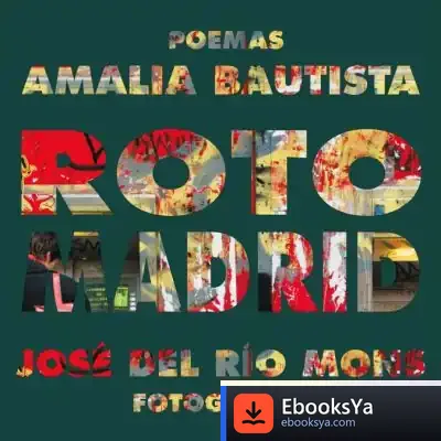 Descargar Roto Madrid de Juan Beltrán Chica