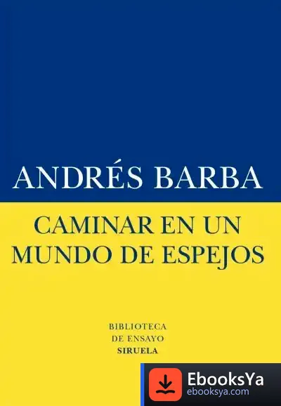 Descargar Caminar En Un Mundo De Espejos