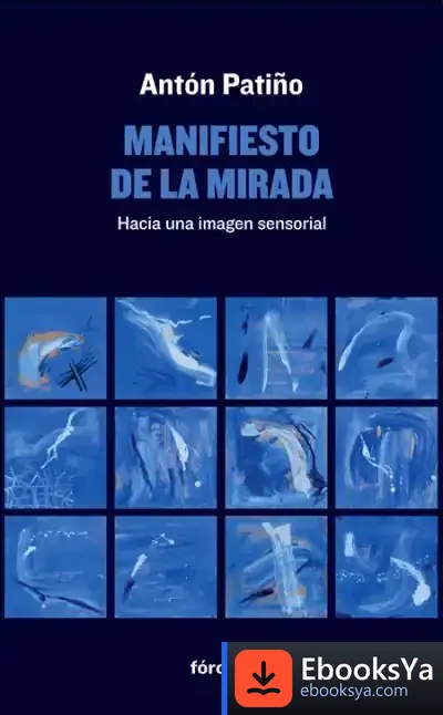 Descargar Manifiesto De La Mirada de Antón Patiño Pérez
