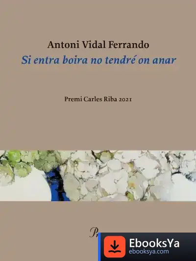 Descargar Si Entra Boira No Tendré On Anar