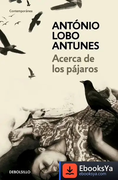 Descargar Acerca De Los Pájaros de Rita Culla