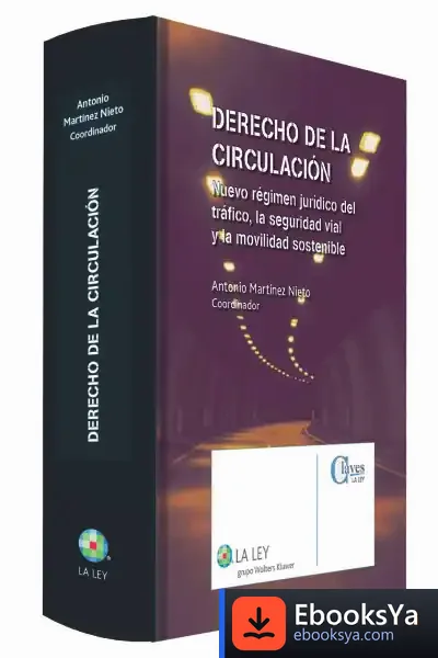 Descargar Derecho De La Circulación de Antonio Martínez Nieto