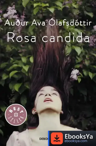 Descargar Rosa Candida