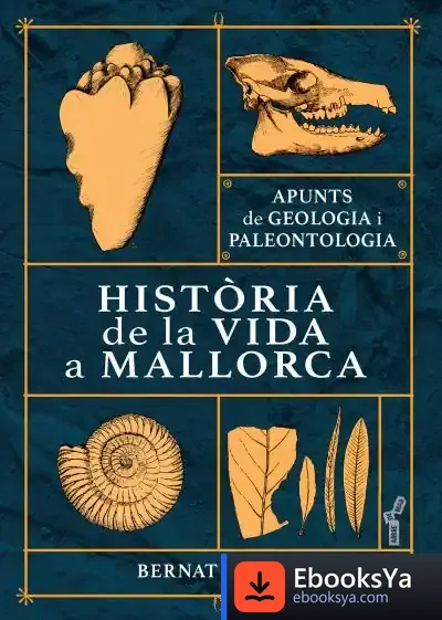 Descargar Història De La Vida A Mallorca de Bernat Morey Colomar