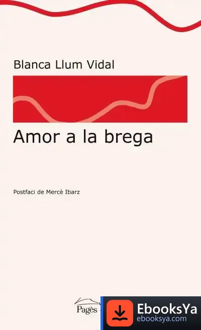Descargar Amor A La Brega de Blanca Llum Vidal Carrasco