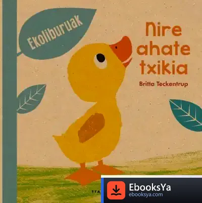 Descargar Nire Ahate Txikia de Britta Teckentrup