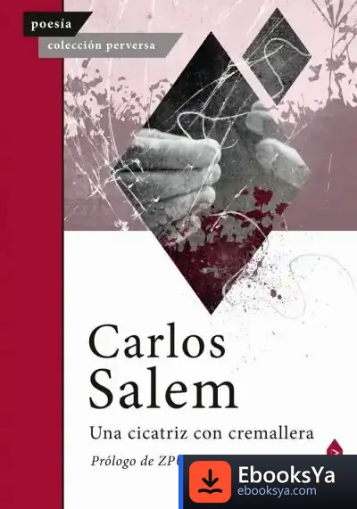 Descargar Una Cicatriz Con Cremallera de Carlos Salem