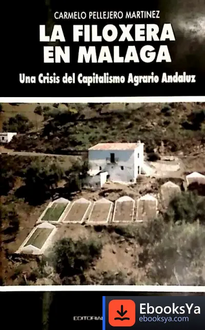 Descargar La Filoxera En Málaga