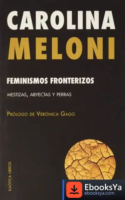 Descargar Feminismos Fronterizos de Carolina Meloni