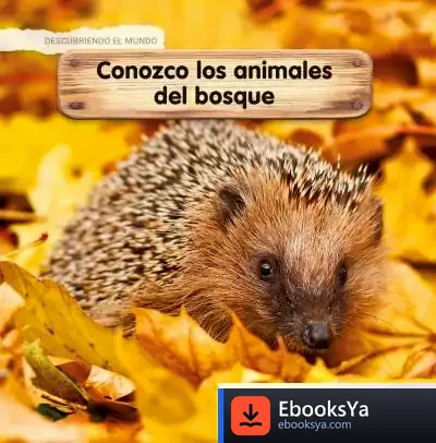 Descargar *Aprendo Los Animales Del Bosque de Céline Lamour-crochet