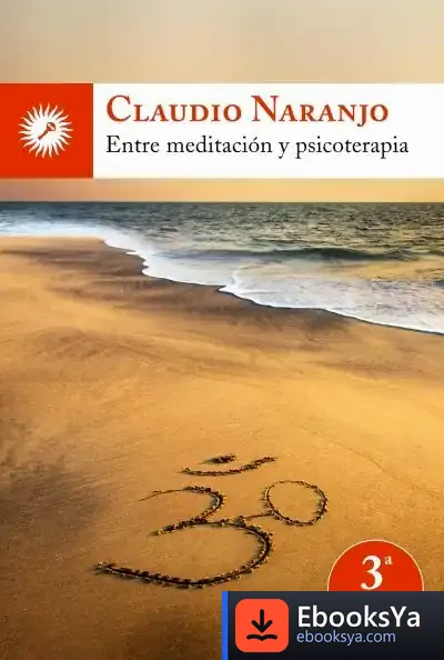 Descargar Entre Meditación Y Psicoterapia