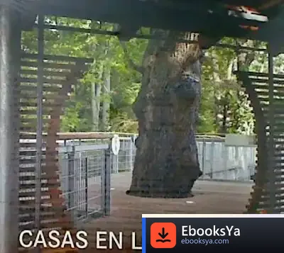 Descargar La Casa En Los Árboles