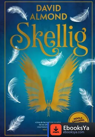 Descargar Skellig