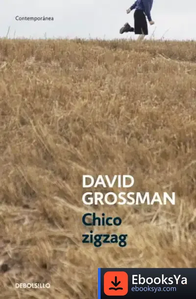 Descargar Chico Zigzag