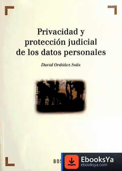 Descargar Privacidad Y Proteccion Judicial Datos Personales de Lucas Soares