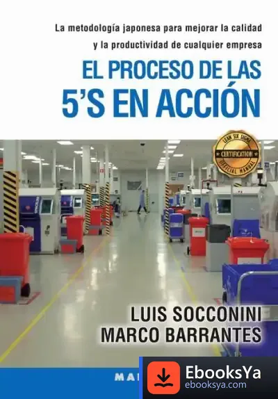 Descargar El Proceso De Las 5Â€™S En Acción