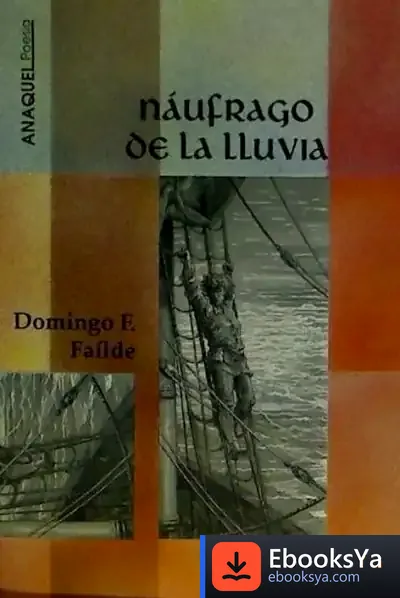 Descargar Náufrago De La Lluvia de Carles Barba Boada