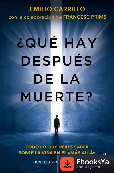 Descargar ¿Qué Hay Después De La Muerte? de Emilio Carrillo