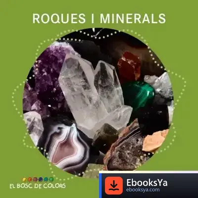 Descargar Roques I Minerals de Estel Baldó Caba