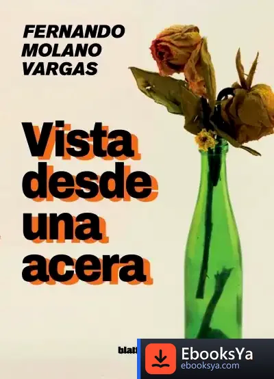 Descargar Vista Desde Una Acera