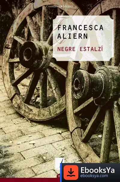 Descargar Negre Estalzí de Francesca Aliern Pons