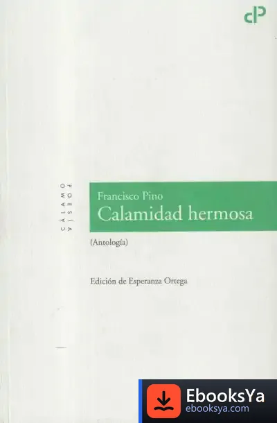 Descargar Calamidad Hermosa de Stephen King
