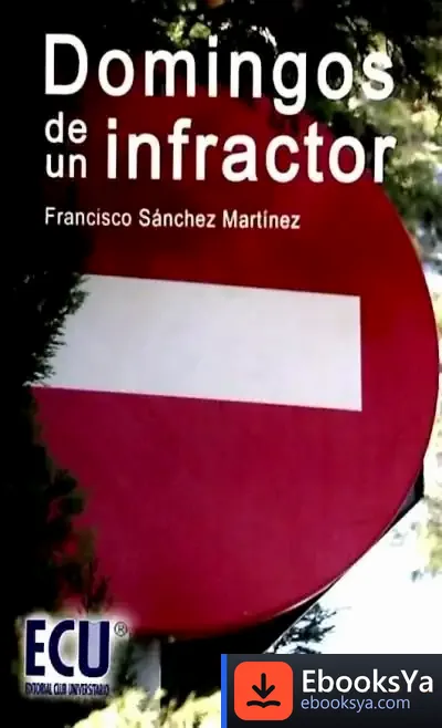 Descargar Domingos De Un Infractor de Marta Cabeza Villanueva