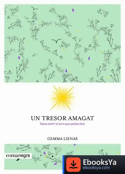 Descargar Un Tresor Amagat de Gemma Lienas