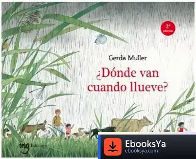 Descargar ¿Dónde Van Cuando Llueve?