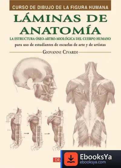 Descargar Láminas De Anatomía de Giovanni Civardi