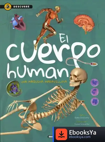 Descargar Descubre. El Cuerpo Humano de Gisela Socolovsky
