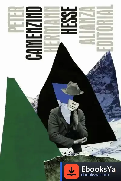 Descargar Peter Camenzind