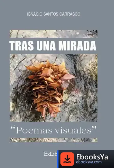 Descargar Tras Una Mirada. Poemas Visuales de Ignacio Santos Carrasco