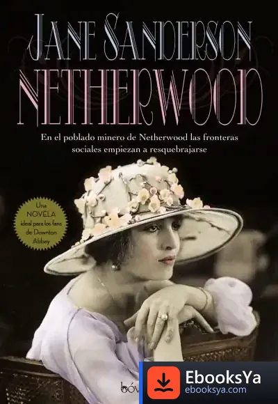 Descargar Netherwood de Jane Sanderson