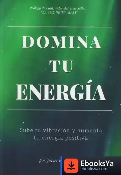 Descargar Domina Tu Energía de Javier Robas Pérez