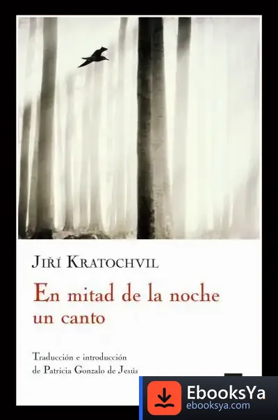 Descargar En Mitad De La Noche Un Canto