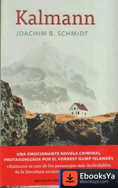 Descargar Kalmann de Joachim B. Schmidt