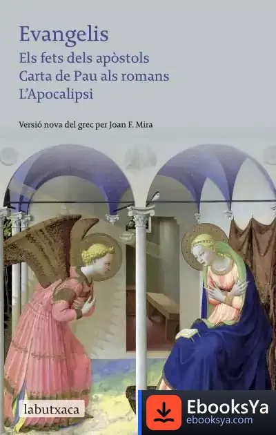 Descargar Evangelis de Juan José Fernández Delgado