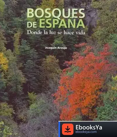 Descargar Bosques De España