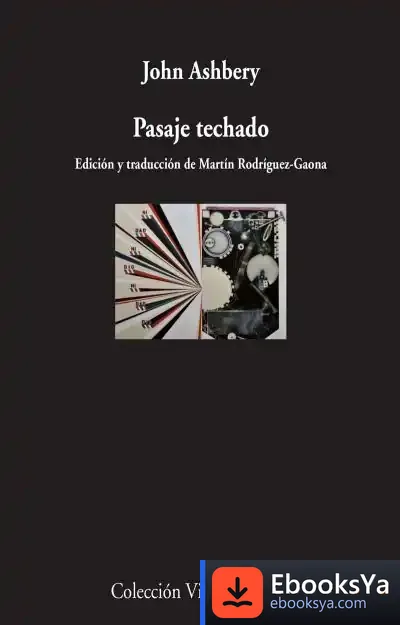 Descargar Pasaje Techado