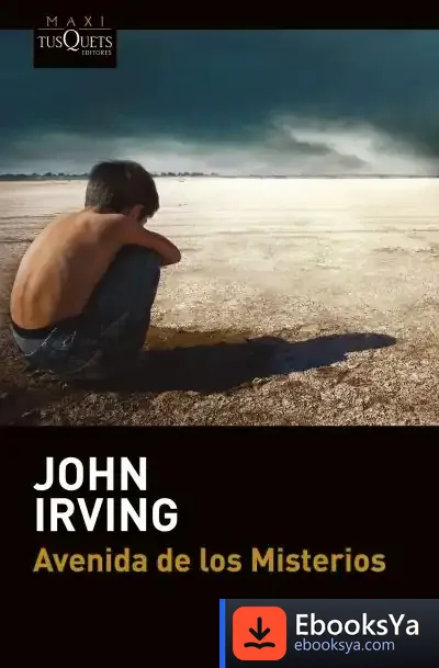 Descargar Avenida De Los Misterios de John Irving
